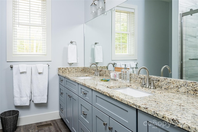 bathroom with wood-type flooring, plenty of natural light, and double sink vanity