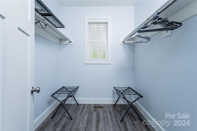 walk in closet with wood-type flooring