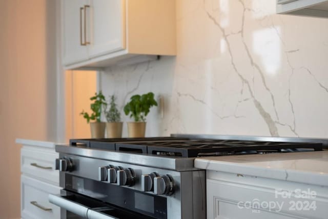 details with gas stove and tasteful backsplash