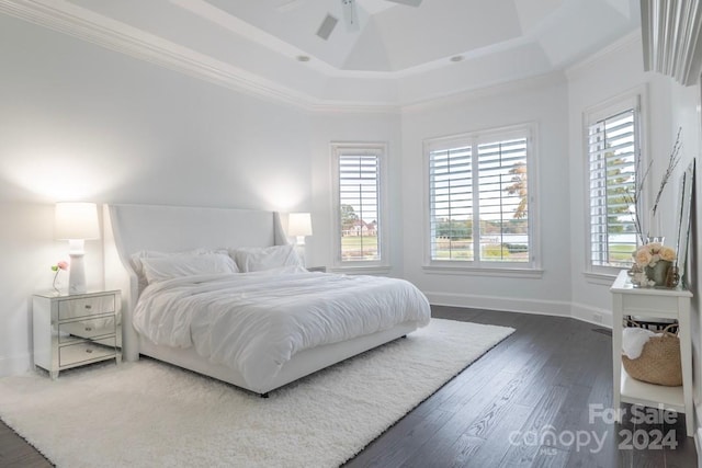 bedroom with a tray ceiling, dark hardwood / wood-style floors, and ceiling fan