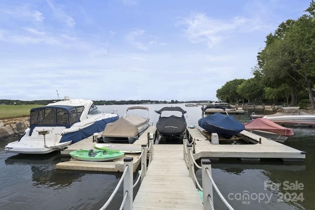 dock area with a water view