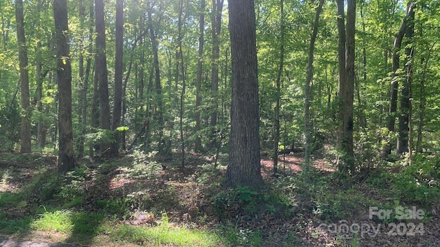 Listing photo 2 for LOT26 Lookout Tower Rd, Blacksburg SC 29702