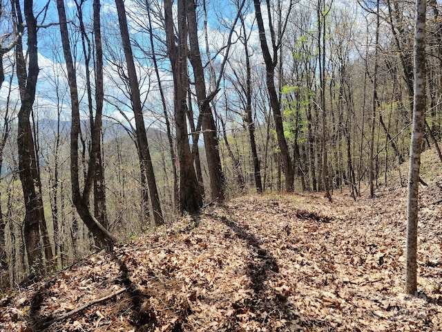 000 Skyline Dr, Waynesville NC, 28786 land for sale