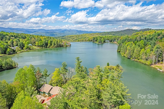 birds eye view of property with a water and mountain view