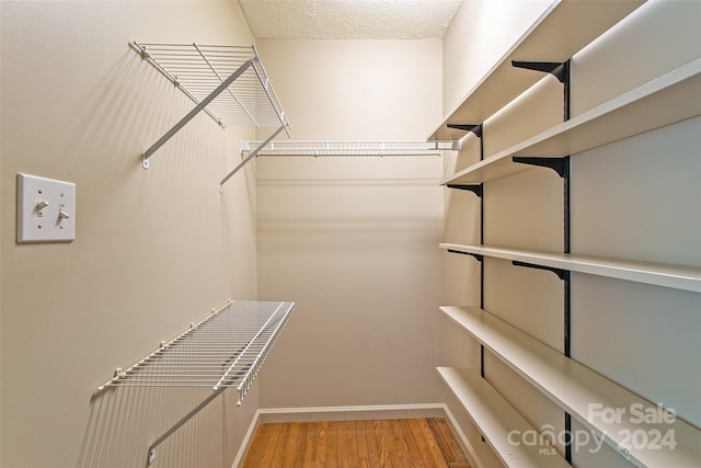 spacious closet featuring light hardwood / wood-style flooring