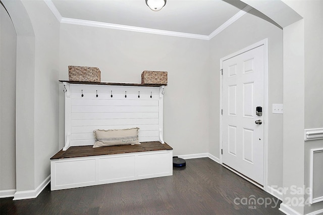 mudroom featuring ornamental molding and dark wood-type flooring