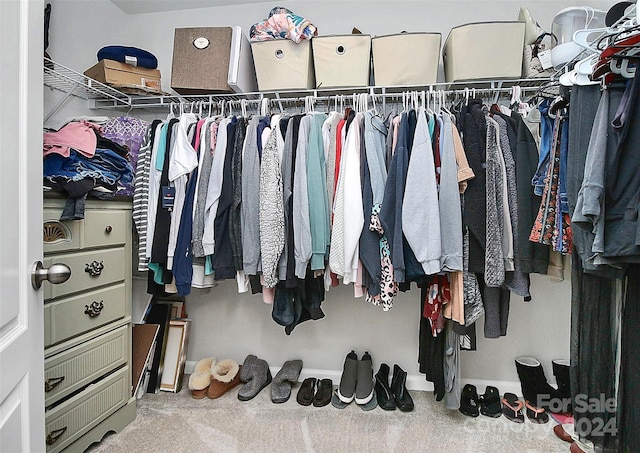 walk in closet with carpet floors