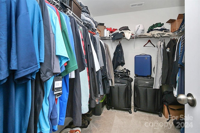 spacious closet with carpet flooring