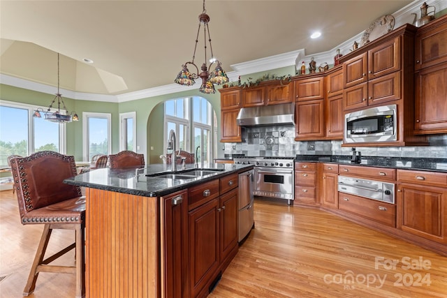 kitchen featuring appliances with stainless steel finishes, a notable chandelier, a healthy amount of sunlight, and an island with sink