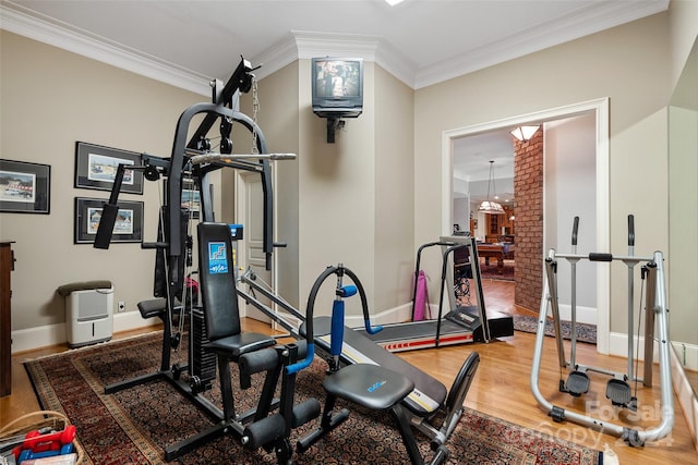 exercise area featuring crown molding and wood-type flooring