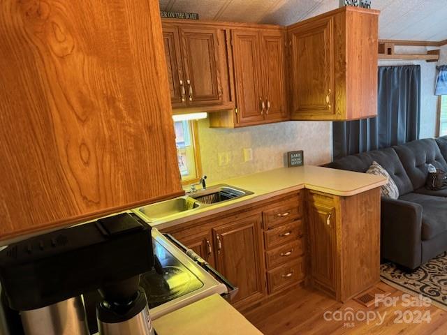 kitchen with light hardwood / wood-style flooring and sink