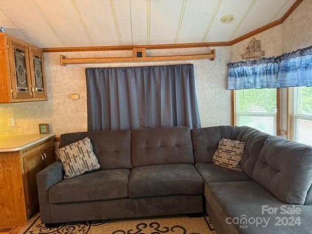 carpeted living room featuring ornamental molding and vaulted ceiling