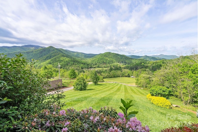 view of mountain feature