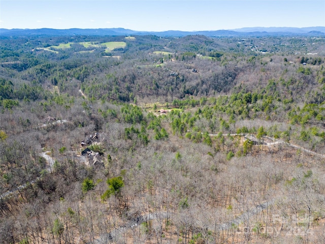 Listing photo 2 for 132 Overlook Park Dr Unit 51, Hendersonville NC 28792