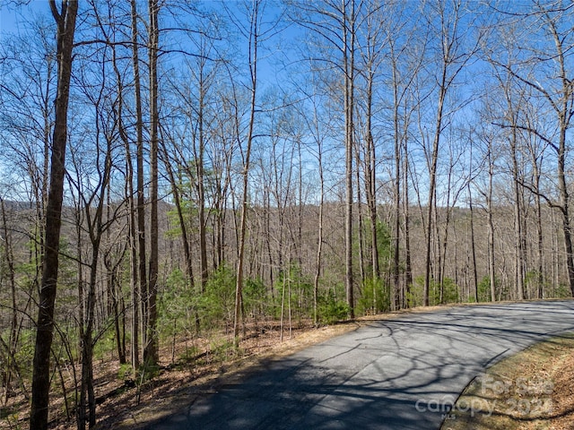 Listing photo 3 for 132 Overlook Park Dr Unit 51, Hendersonville NC 28792