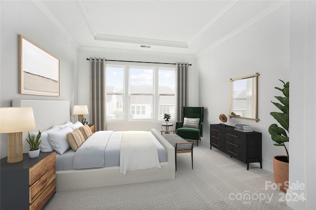 carpeted bedroom with a raised ceiling