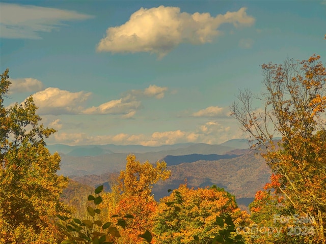 Address Not Disclosed, Sylva NC, 28779 land for sale