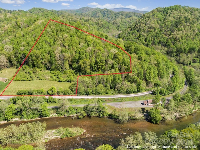 000 Peterson Ln, Green Mountain NC, 28740 land for sale