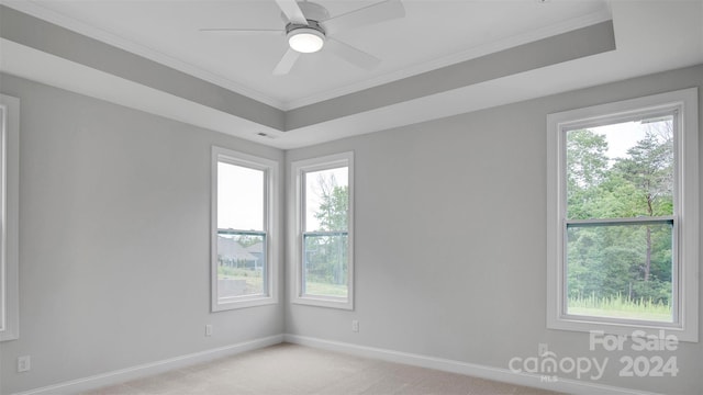 carpeted spare room featuring a raised ceiling, ceiling fan, and ornamental molding