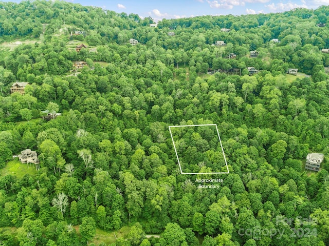 98 Goldenleaf Rd Unit 98, Mars Hill NC, 28754 land for sale