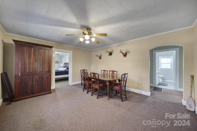 carpeted dining room featuring ornamental molding and ceiling fan