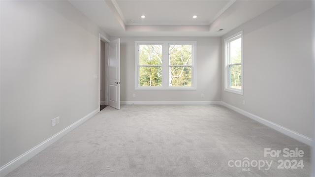 unfurnished bedroom featuring light carpet, a raised ceiling, and crown molding