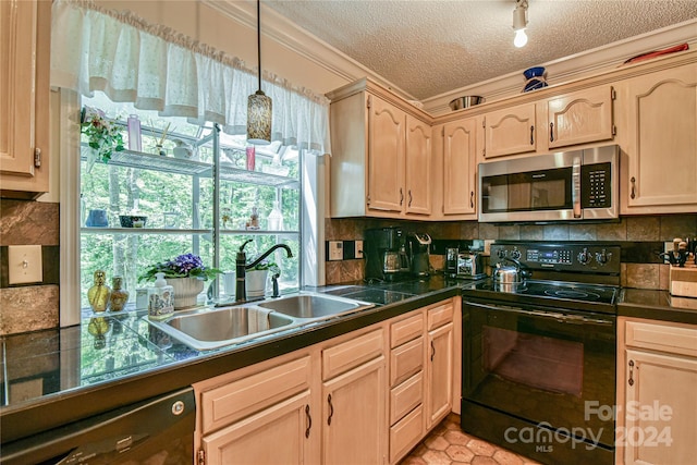 kitchen with backsplash, dishwasher, a textured ceiling, black range with electric stovetop, and sink