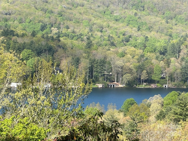 TBD Hawk Mountain Rd Unit 30, Lake Toxaway NC, 28747 land for sale