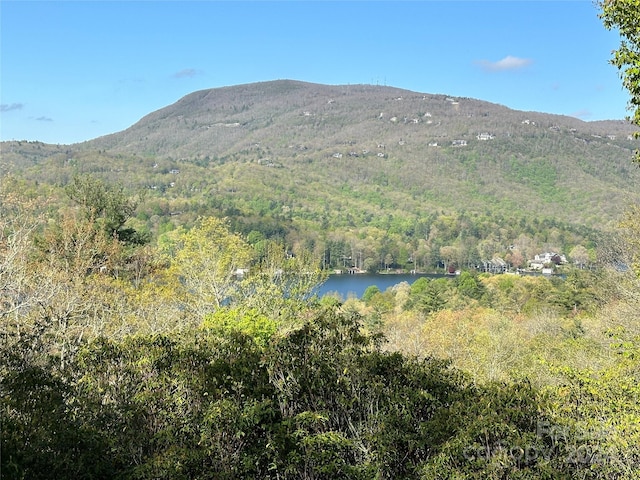 Listing photo 2 for TBD Hawk Mountain Rd Unit 30, Lake Toxaway NC 28747