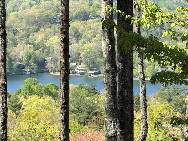 Listing photo 3 for TBD Hawk Mountain Rd Unit 30, Lake Toxaway NC 28747