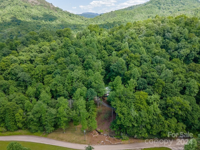 drone / aerial view with a mountain view