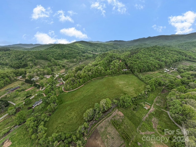 3 Harlow And Cricket Dr, Balsam Grove, NC 28708