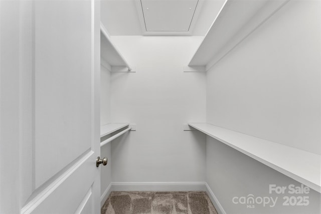 walk in closet with light carpet