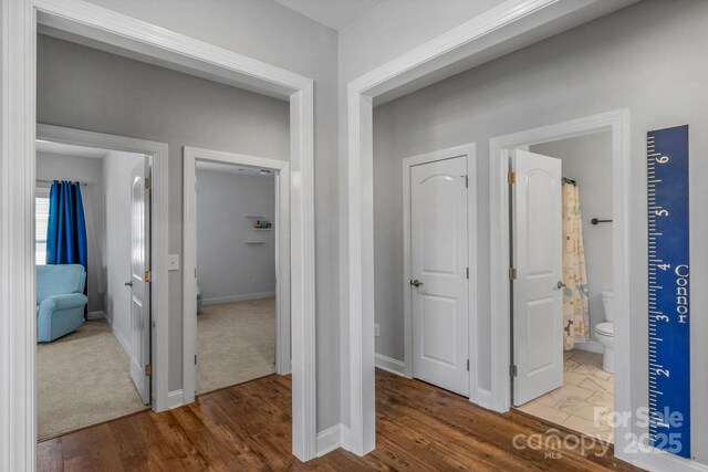 hall with hardwood / wood-style floors