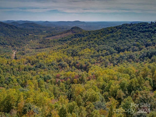 00 Treadway Ridge Rd, Moravian Falls NC, 28645 land for sale