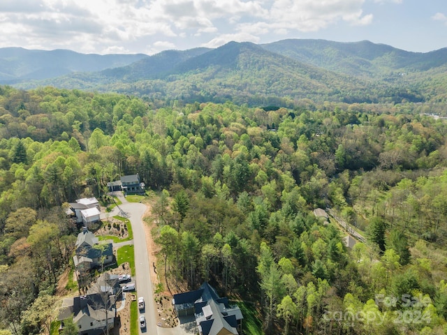 Listing photo 3 for 161 Riverbend Forest Dr Unit 9, Asheville NC 28805