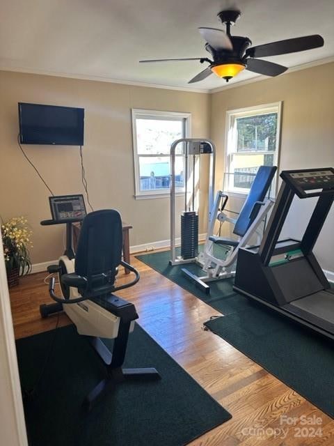 workout room featuring hardwood / wood-style flooring, crown molding, and ceiling fan