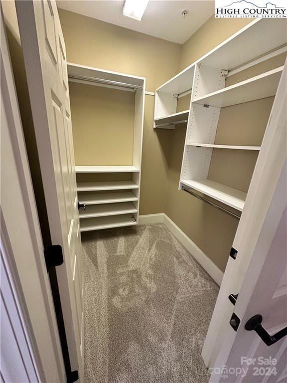 walk in closet with carpet floors