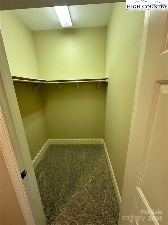 spacious closet with carpet