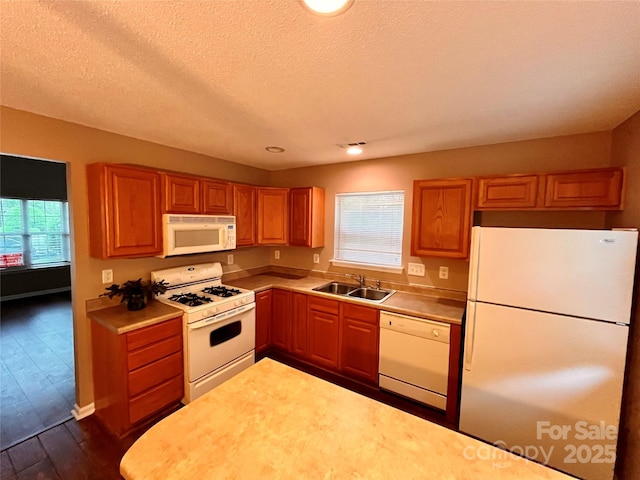 kitchen featuring white appliances, a sink, light countertops, dark wood-style flooring, and a textured ceiling