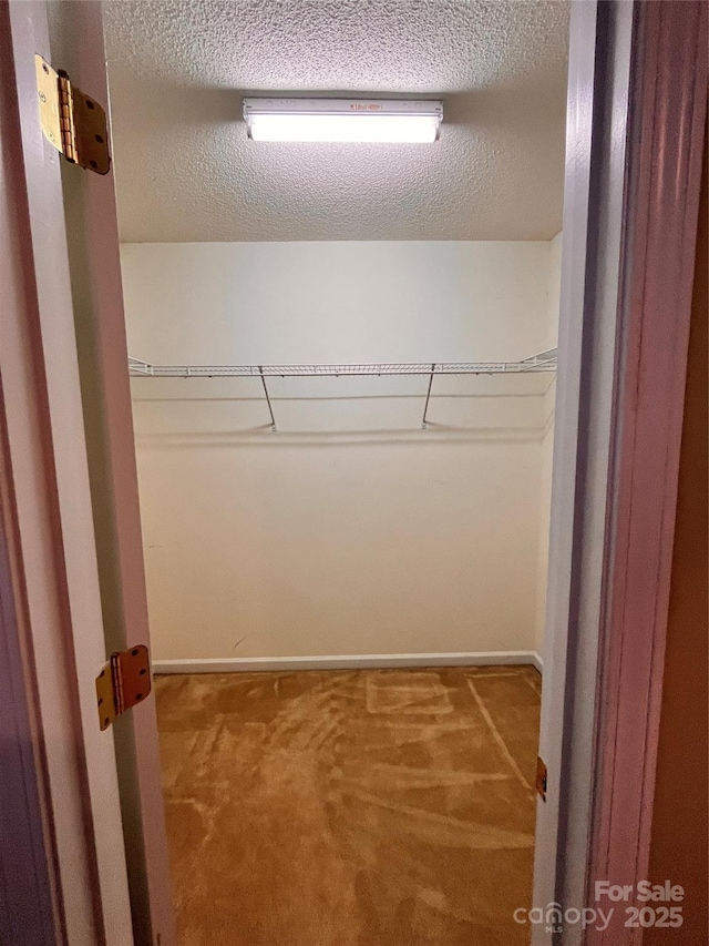 spacious closet with carpet flooring