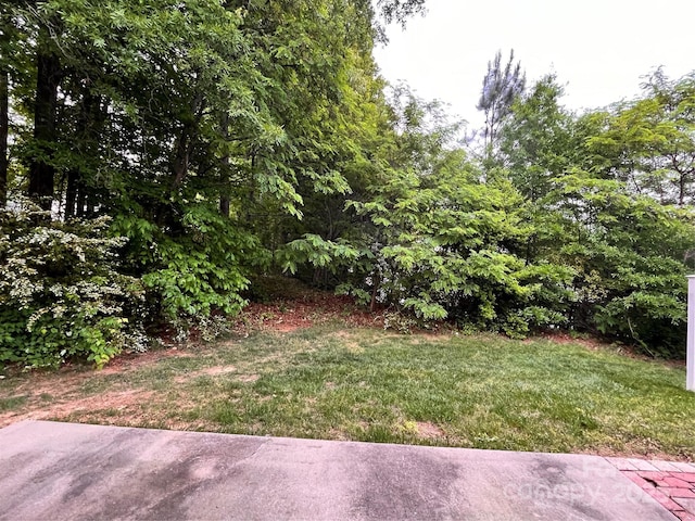 view of grassy yard