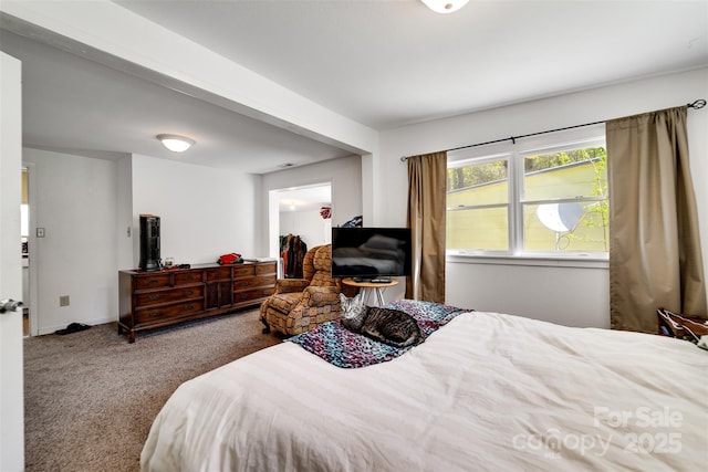 bedroom with carpet flooring