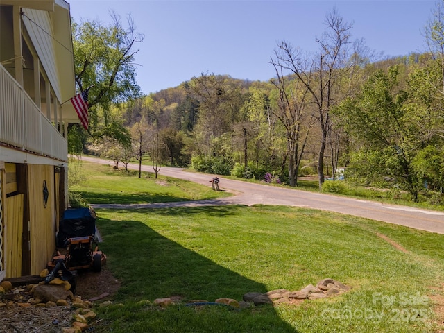 view of yard featuring a mountain view