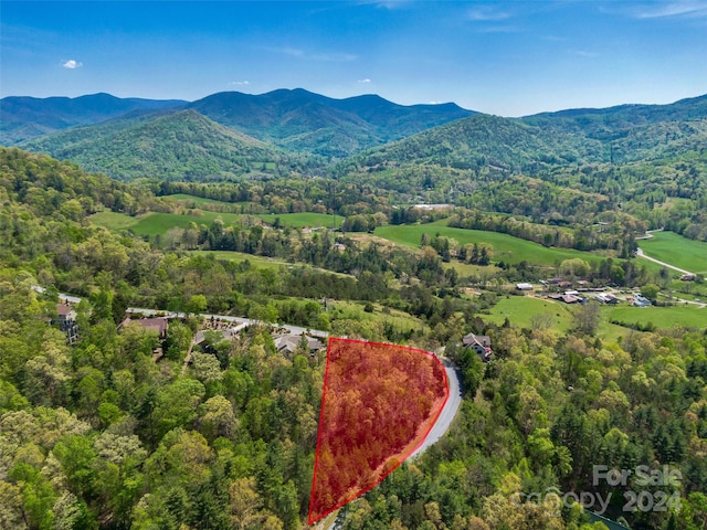 Listing photo 2 for 30 Courseview Dr, Weaverville NC 28787