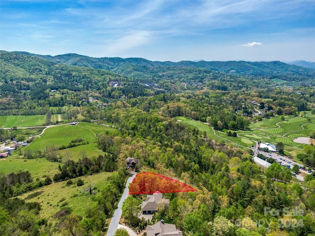 Listing photo 3 for 30 Courseview Dr, Weaverville NC 28787