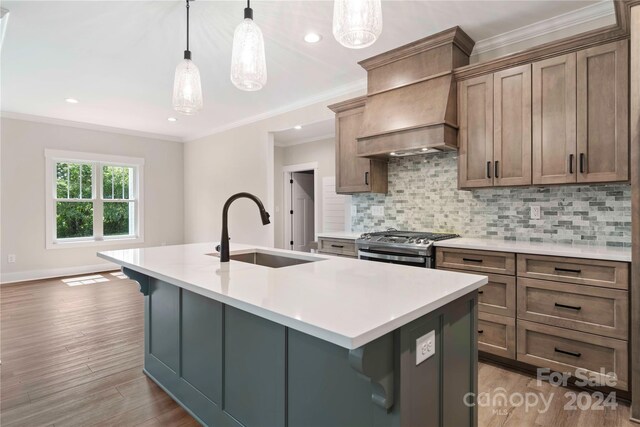 kitchen with stainless steel gas range oven, light wood-type flooring, sink, and a kitchen island with sink