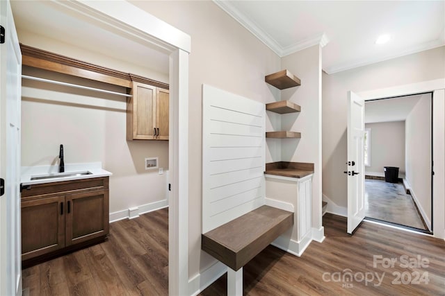 mudroom featuring crown molding, dark hardwood / wood-style flooring, and sink