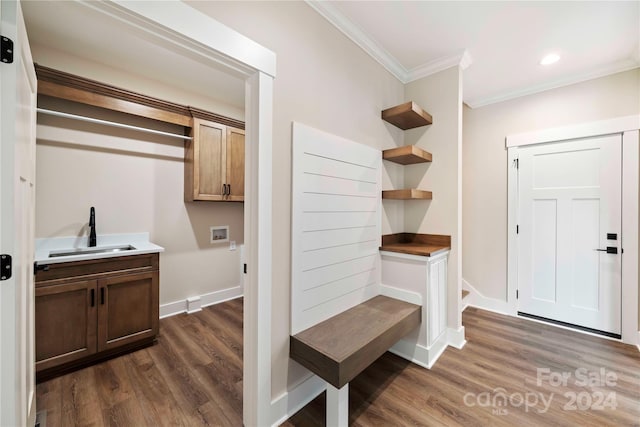 mudroom with crown molding, dark hardwood / wood-style flooring, and sink