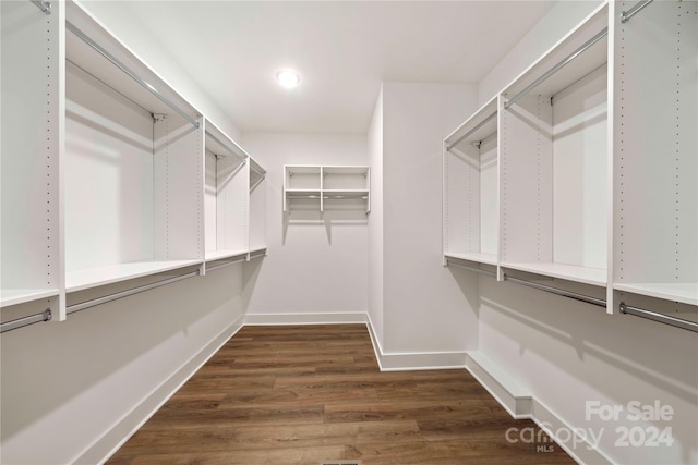 walk in closet with dark hardwood / wood-style floors